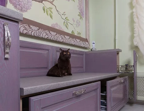 Фиолетовая кухня в Казани